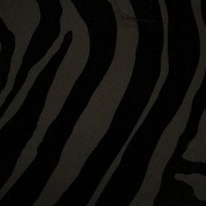 Meet your Posher, Traci